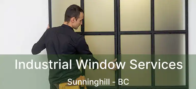  Industrial Window Services Sunninghill - BC