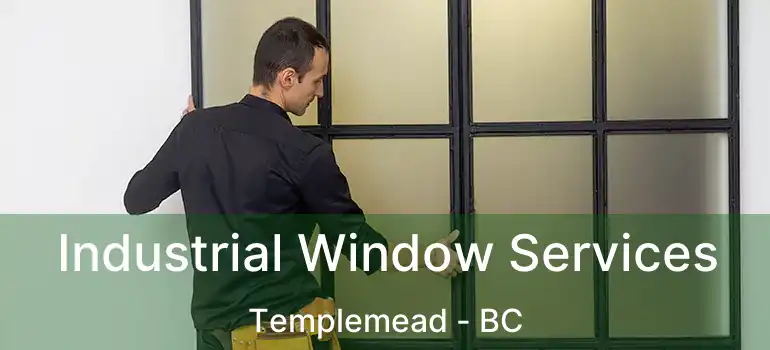  Industrial Window Services Templemead - BC