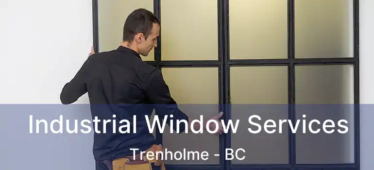  Industrial Window Services Trenholme - BC