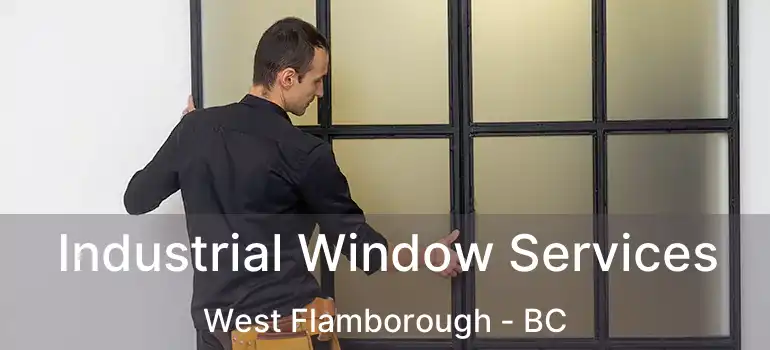  Industrial Window Services West Flamborough - BC