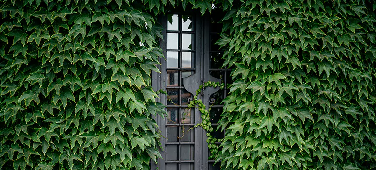 Garden Gate Repair in Delta, BC