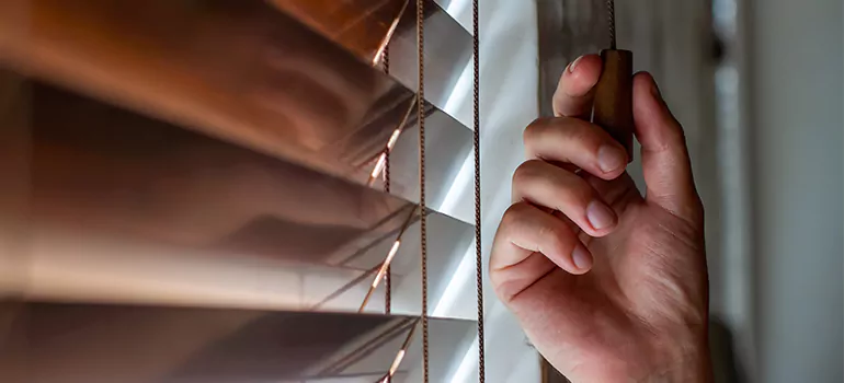Double Roller Blinds in Delta, British Columbia