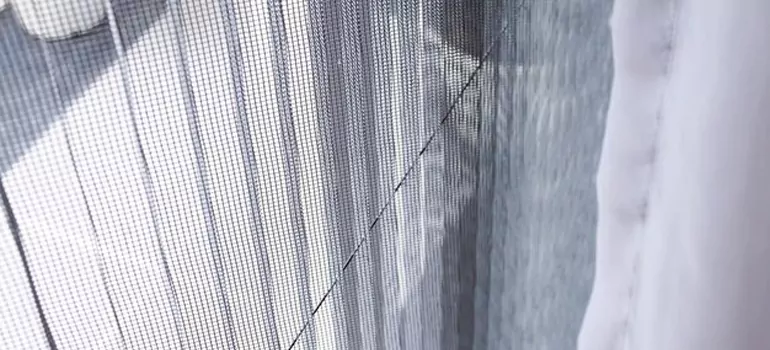 Fixing Screen Window Mesh in Delta, British Columbia