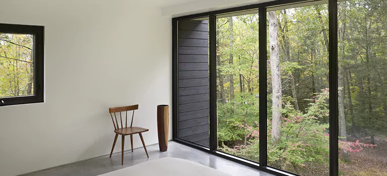 Triple Pane Energy Efficient Windows in Delta, BC