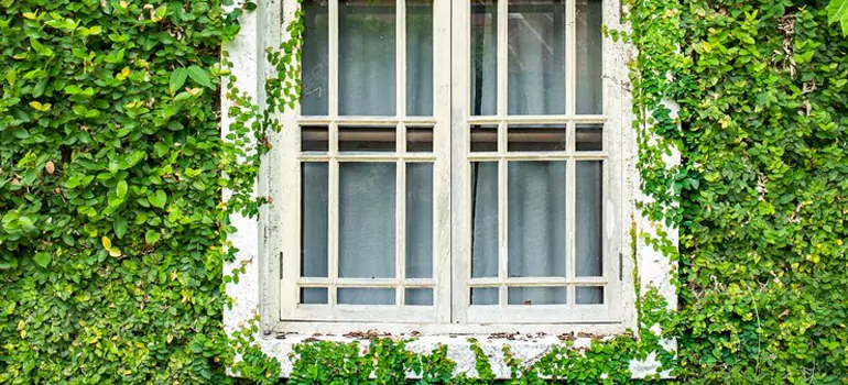 Garden Window Repair Near Me in Delta, BC