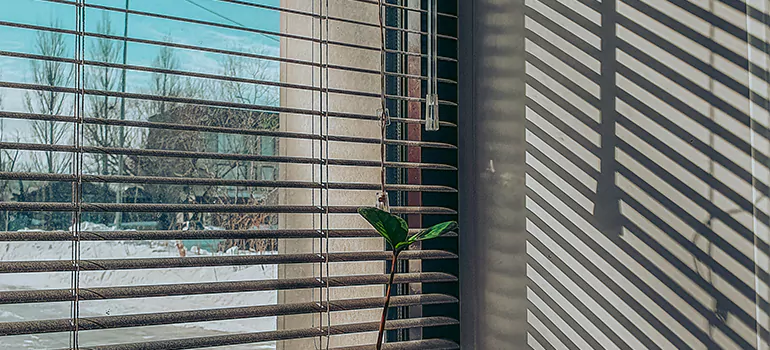 Commercial Window Blinds in Delta, BC