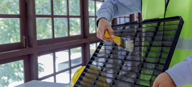 Traditional Window Grille Installation Options in Delta, BC