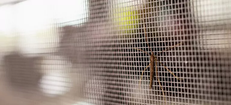 Repair Mosquito Mesh For Windows in Delta, British Columbia
