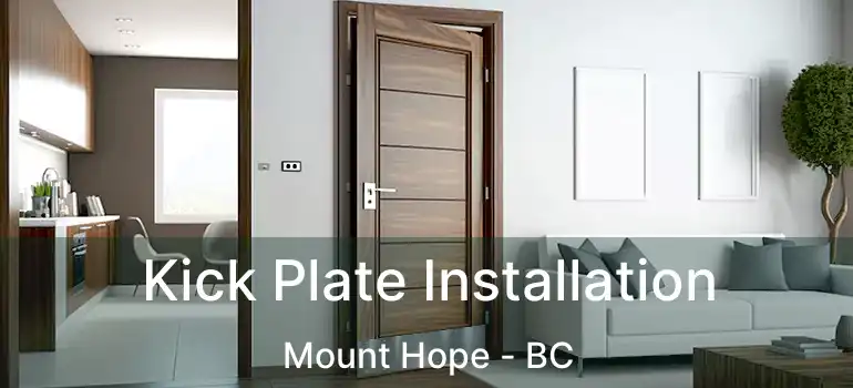  Kick Plate Installation Mount Hope - BC