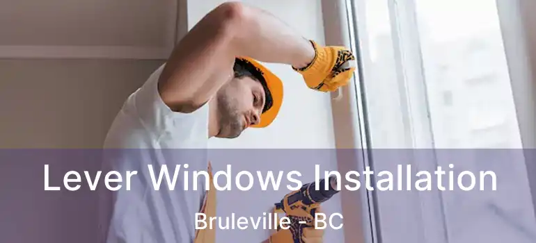  Lever Windows Installation Bruleville - BC