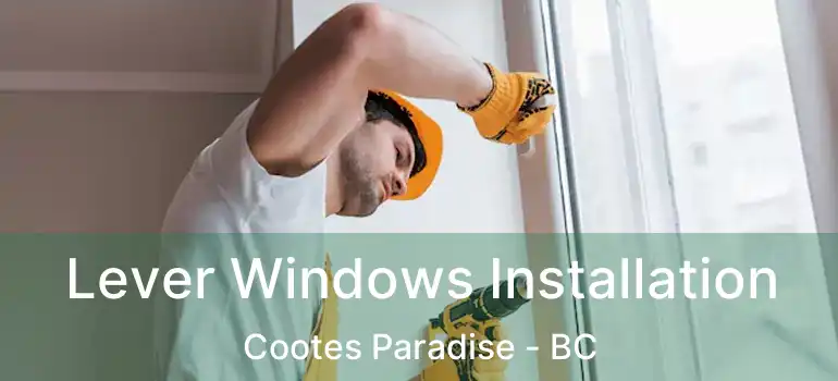  Lever Windows Installation Cootes Paradise - BC