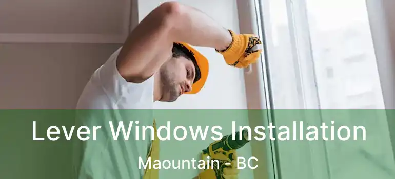  Lever Windows Installation Maountain - BC