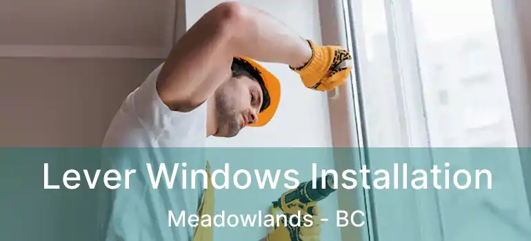  Lever Windows Installation Meadowlands - BC