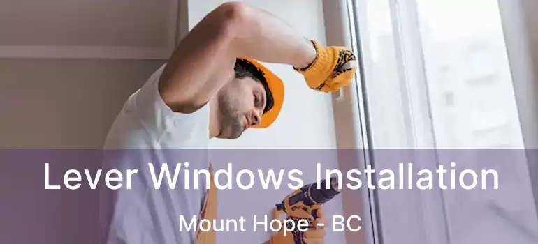  Lever Windows Installation Mount Hope - BC