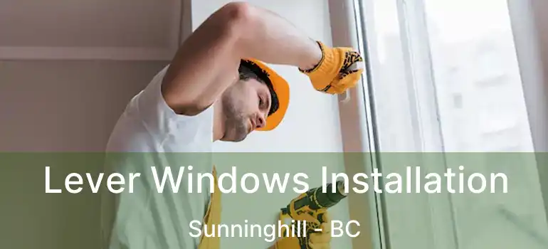  Lever Windows Installation Sunninghill - BC