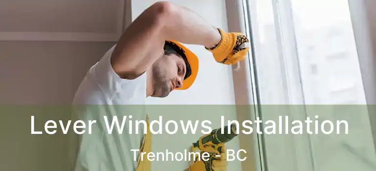  Lever Windows Installation Trenholme - BC