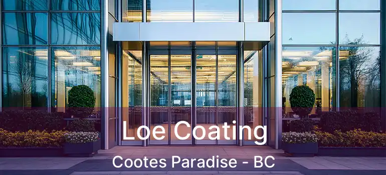  Loe Coating Cootes Paradise - BC