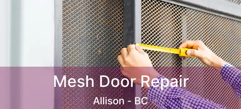  Mesh Door Repair Allison - BC