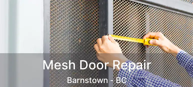  Mesh Door Repair Barnstown - BC