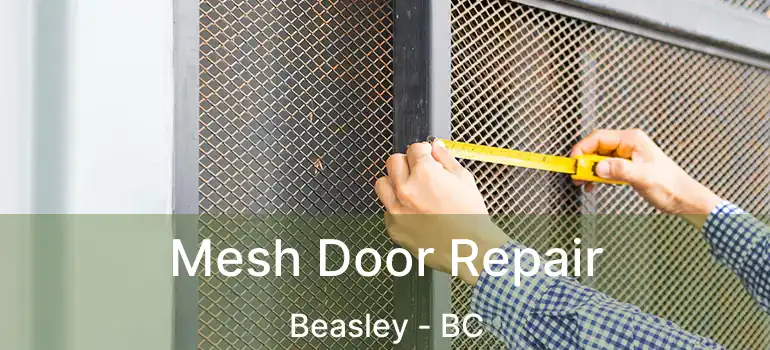  Mesh Door Repair Beasley - BC