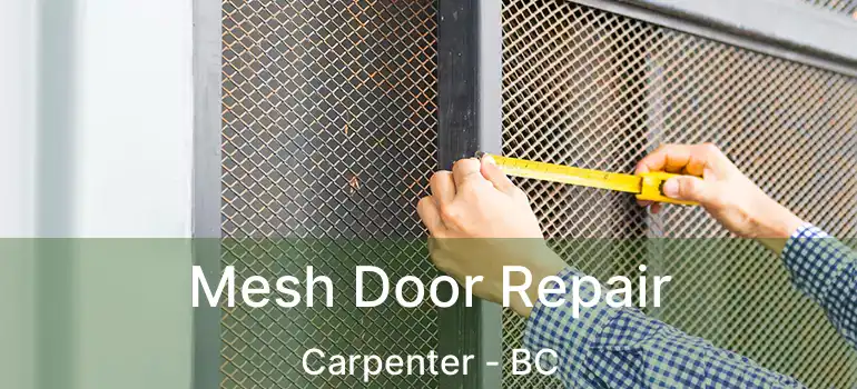  Mesh Door Repair Carpenter - BC