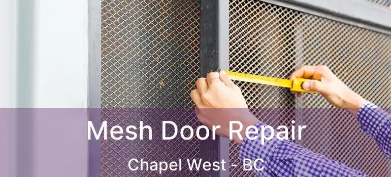  Mesh Door Repair Chapel West - BC