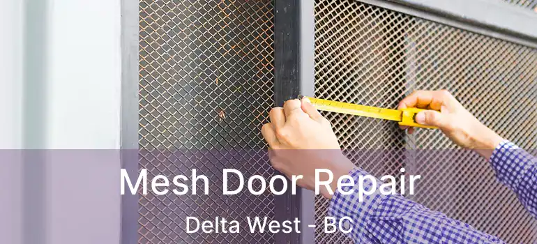  Mesh Door Repair Delta West - BC