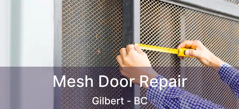  Mesh Door Repair Gilbert - BC