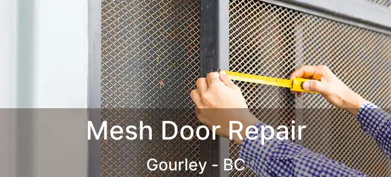  Mesh Door Repair Gourley - BC