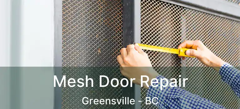  Mesh Door Repair Greensville - BC
