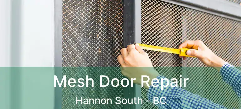  Mesh Door Repair Hannon South - BC