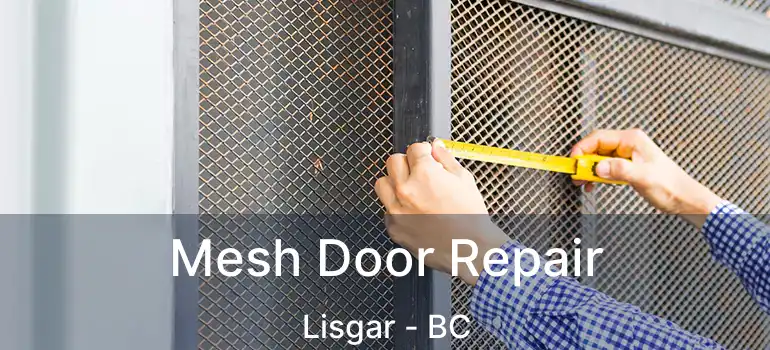  Mesh Door Repair Lisgar - BC