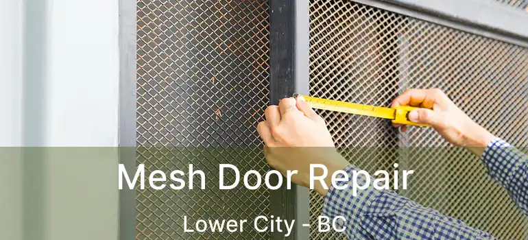  Mesh Door Repair Lower City - BC