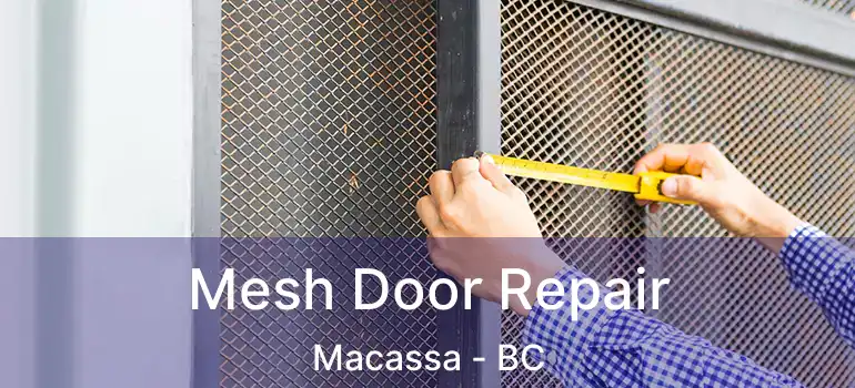  Mesh Door Repair Macassa - BC
