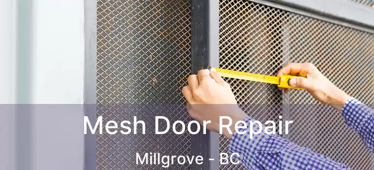  Mesh Door Repair Millgrove - BC