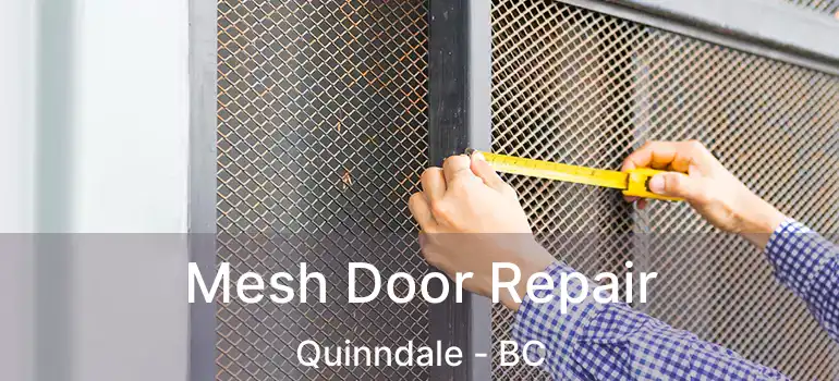  Mesh Door Repair Quinndale - BC