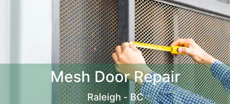  Mesh Door Repair Raleigh - BC