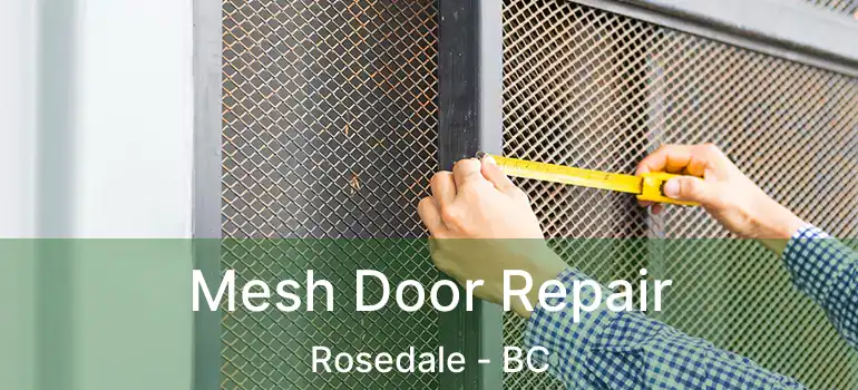  Mesh Door Repair Rosedale - BC