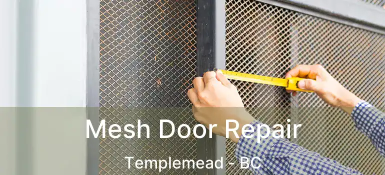  Mesh Door Repair Templemead - BC