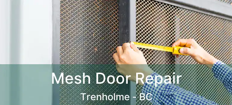  Mesh Door Repair Trenholme - BC