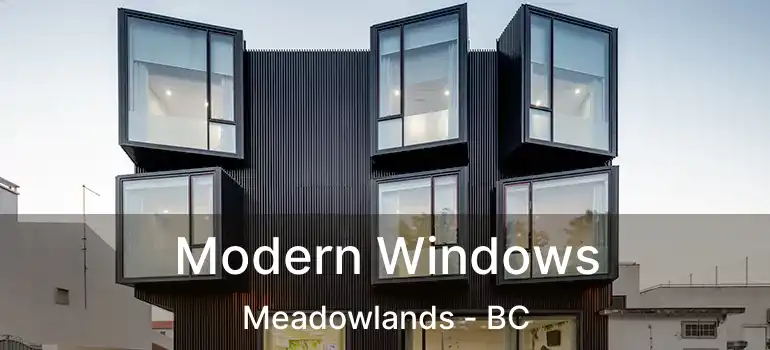  Modern Windows Meadowlands - BC