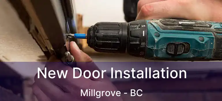  New Door Installation Millgrove - BC