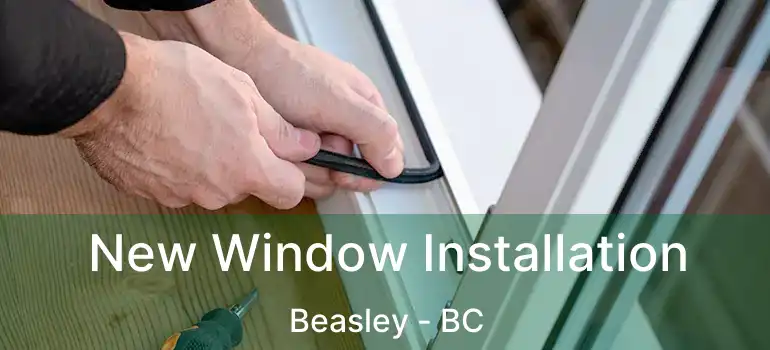  New Window Installation Beasley - BC
