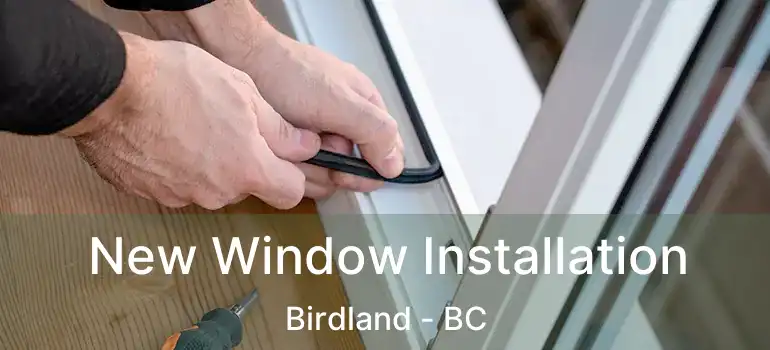  New Window Installation Birdland - BC