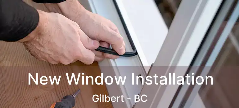  New Window Installation Gilbert - BC