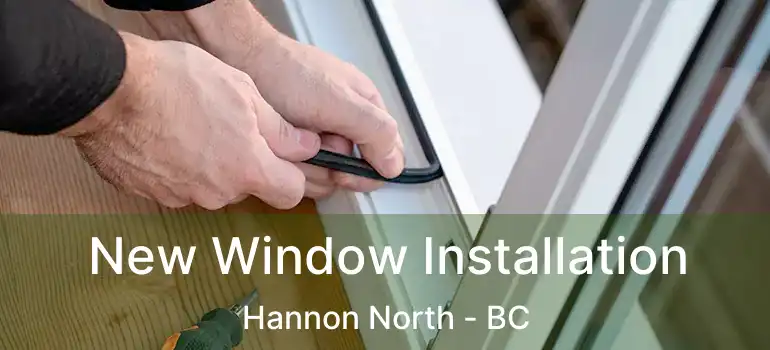  New Window Installation Hannon North - BC