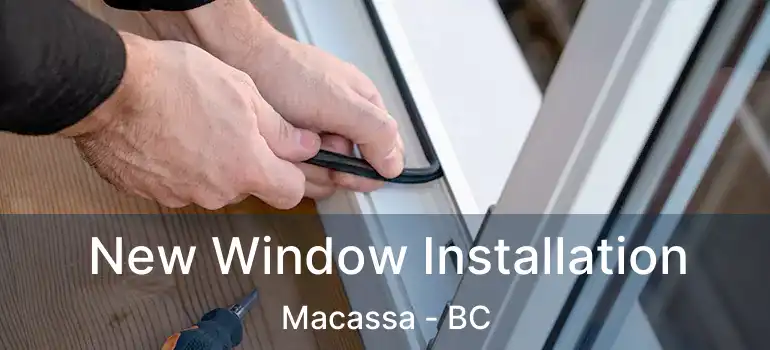 New Window Installation Macassa - BC
