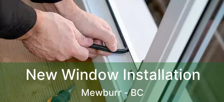  New Window Installation Mewburr - BC