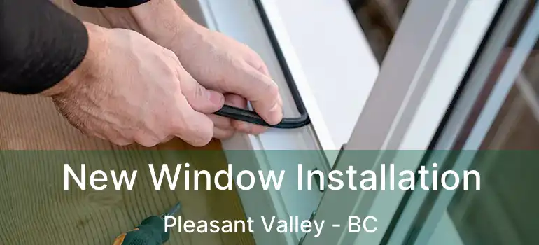  New Window Installation Pleasant Valley - BC