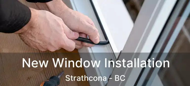  New Window Installation Strathcona - BC